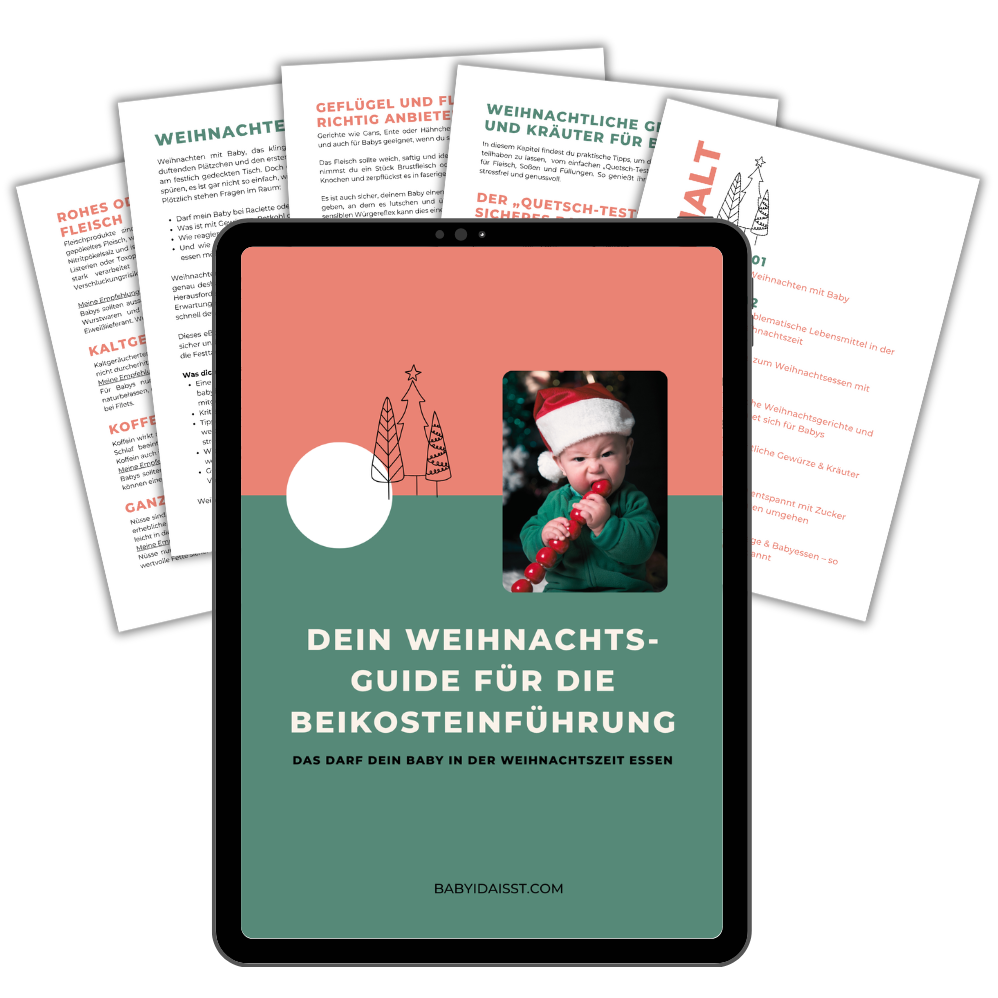 Weihnachten Beikosteinführung Baby Guide