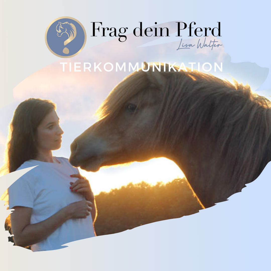 Frag-dein-Pferd-Lisa-Walter-Tierkommunikation-1080x1080.png