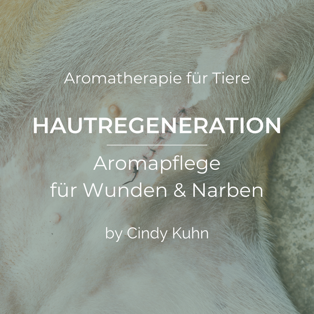 Feuer, Pflanzen, Seelenwärme (6)-1080x1080.png