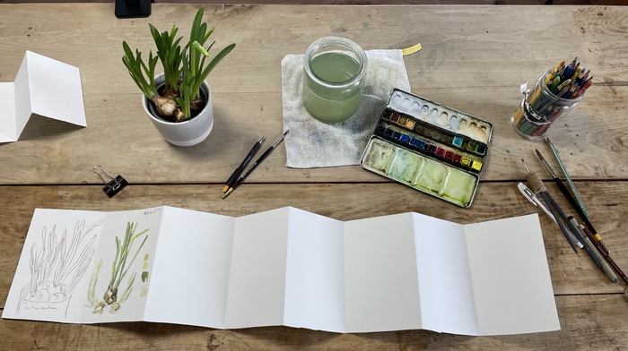 material Vorfrühling Zeitraffer Projektwochen