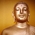 digital-icon