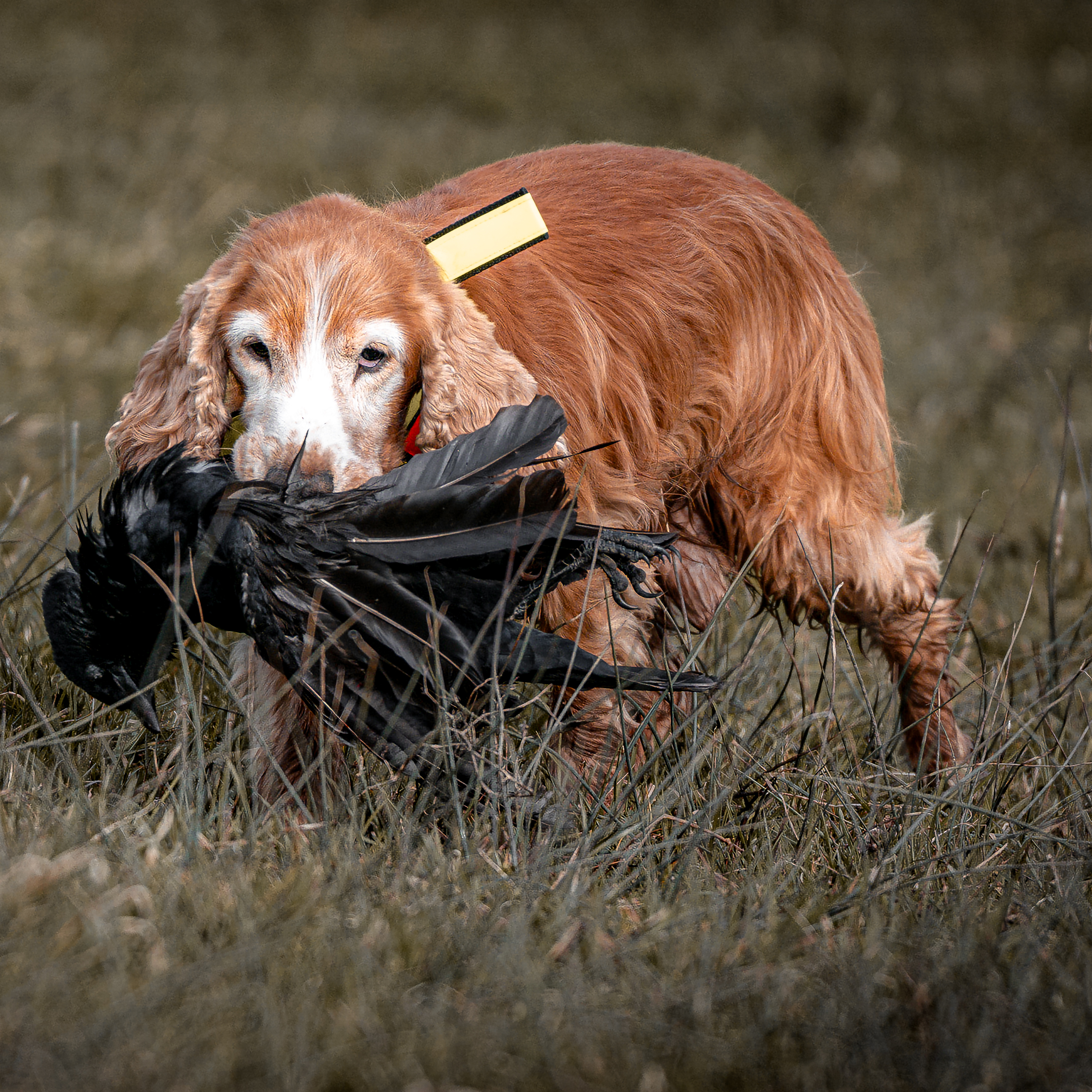 202.DE - 2024 03 10 - Allgäu - Vroni-6-2596x2596.jpg
