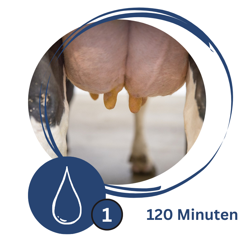 Logo_Kurs Eutergesundheit 1_120 Minuten