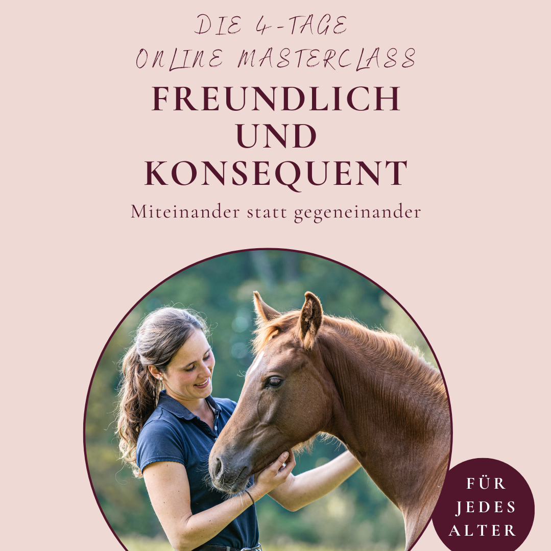 Freundlich und Konsequent Instagram (1)-1079x1079.png