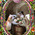digital-icon