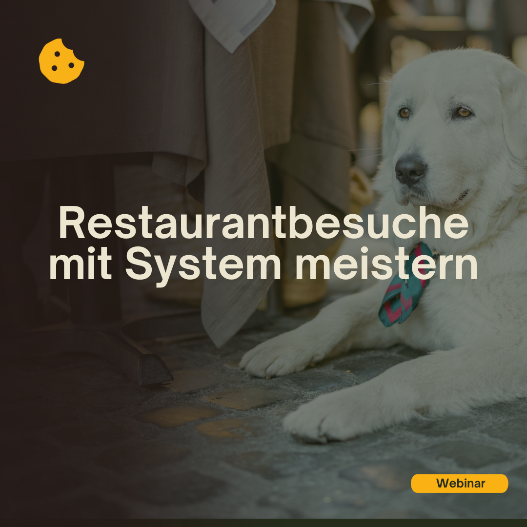 RestaurantbesucheMitSystemMeisternWebinar_Cover-1080x1080.png