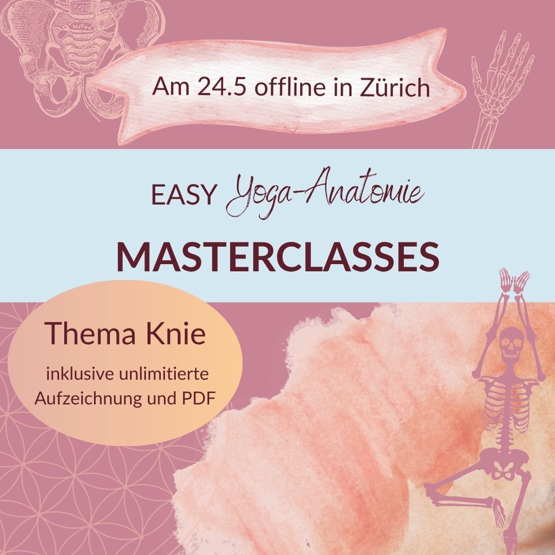 Masterclass Workshop Knie Arthrose in Zürich 24.5.2026