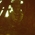 digital-icon