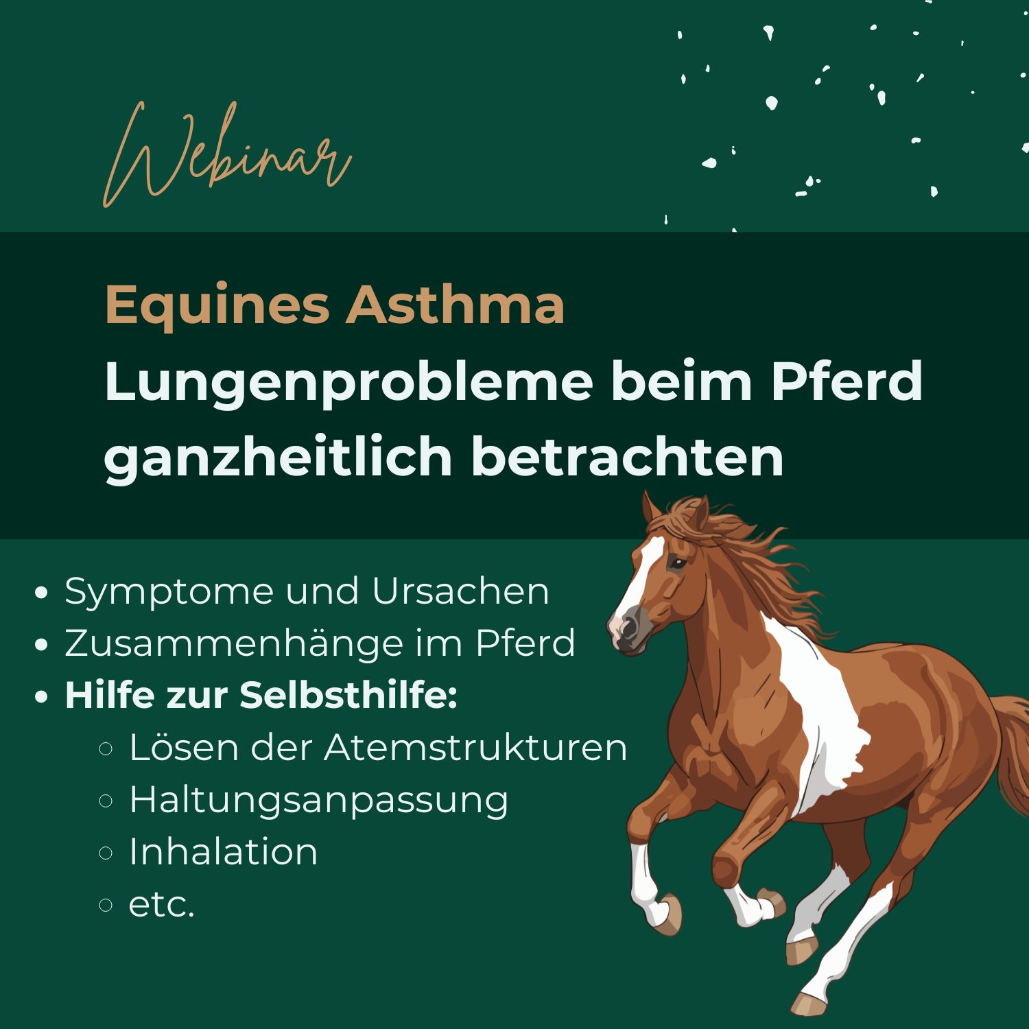 Webinar Equines Asthma