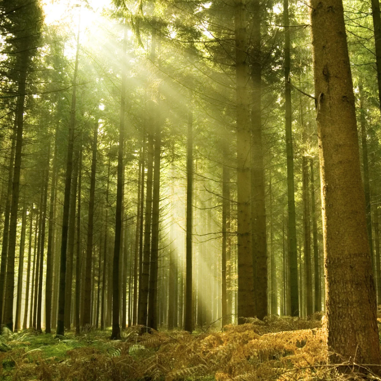 Bildschirmfoto 2026-03-22 um 13.02.13-780x780.png