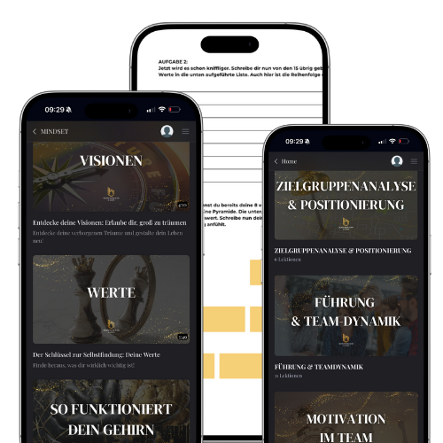 Online Academy - Mindset, Strategie, Longevity