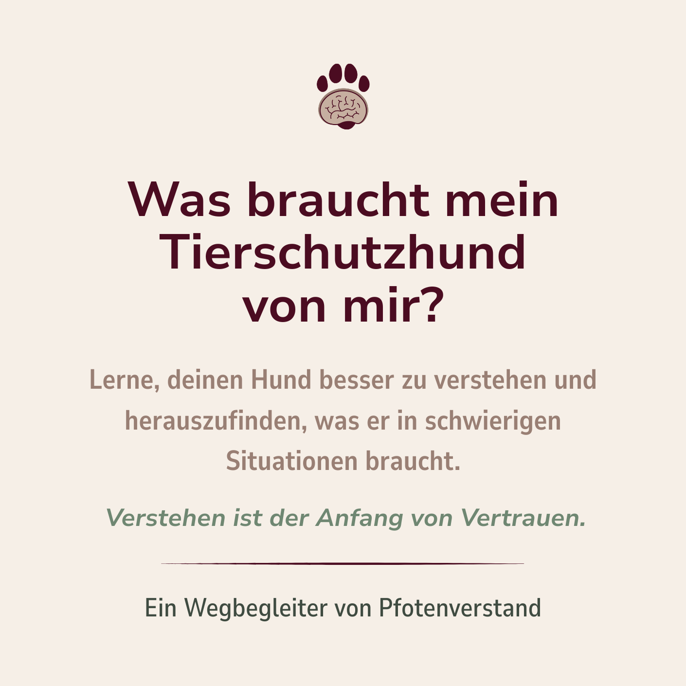 Cover-Ablefy-Warum verhält sich mein Hund so-1410x1410.PNG