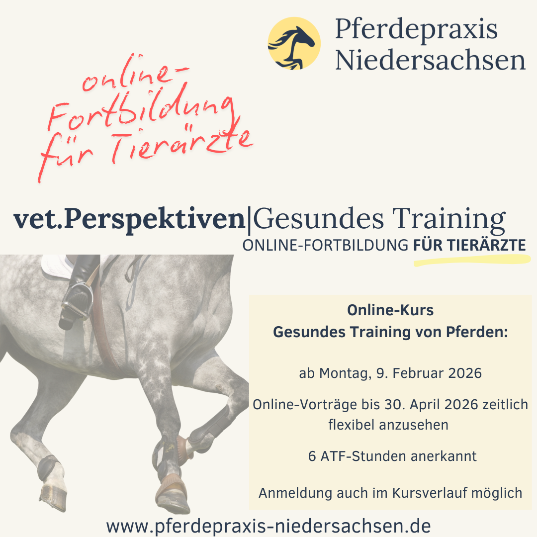 Training u Hufrehe Frühjahr 2025-1080x1080.png