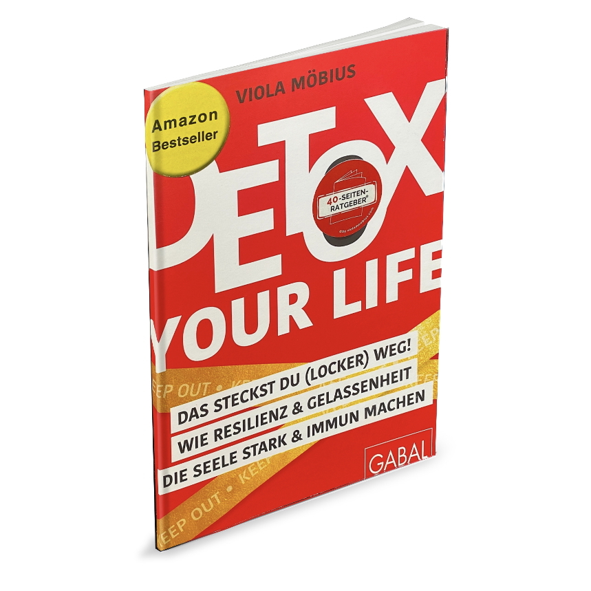 Ratgeber Resilienz Amazon 3d-859x859.jpg