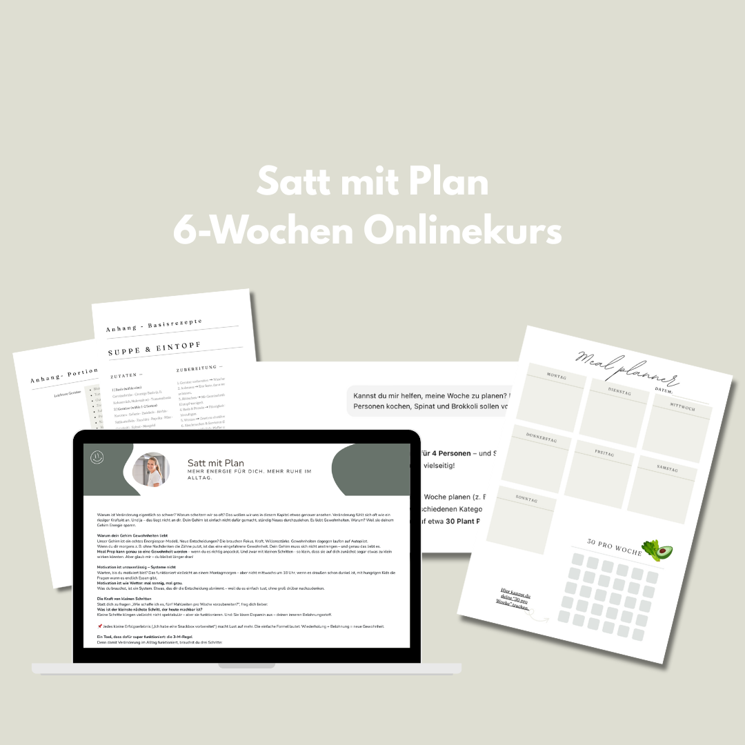 Satt mit Plan Kursinhalte