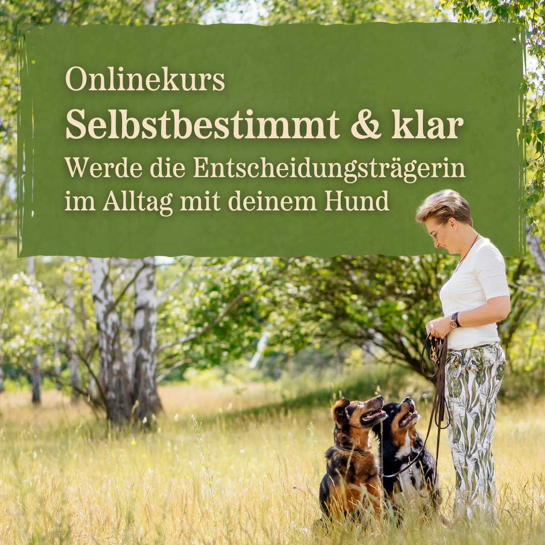 19 Kopie-1080x1080.png