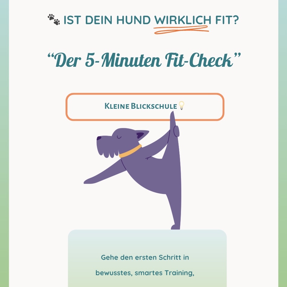 Produktbild für den Fit-Check