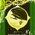 digital-icon