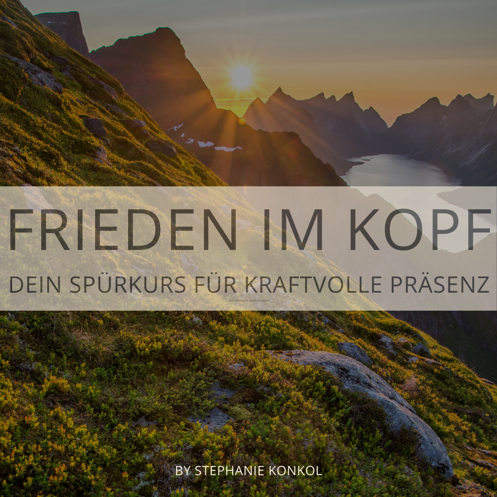 Shop (17)-1024x1024.png