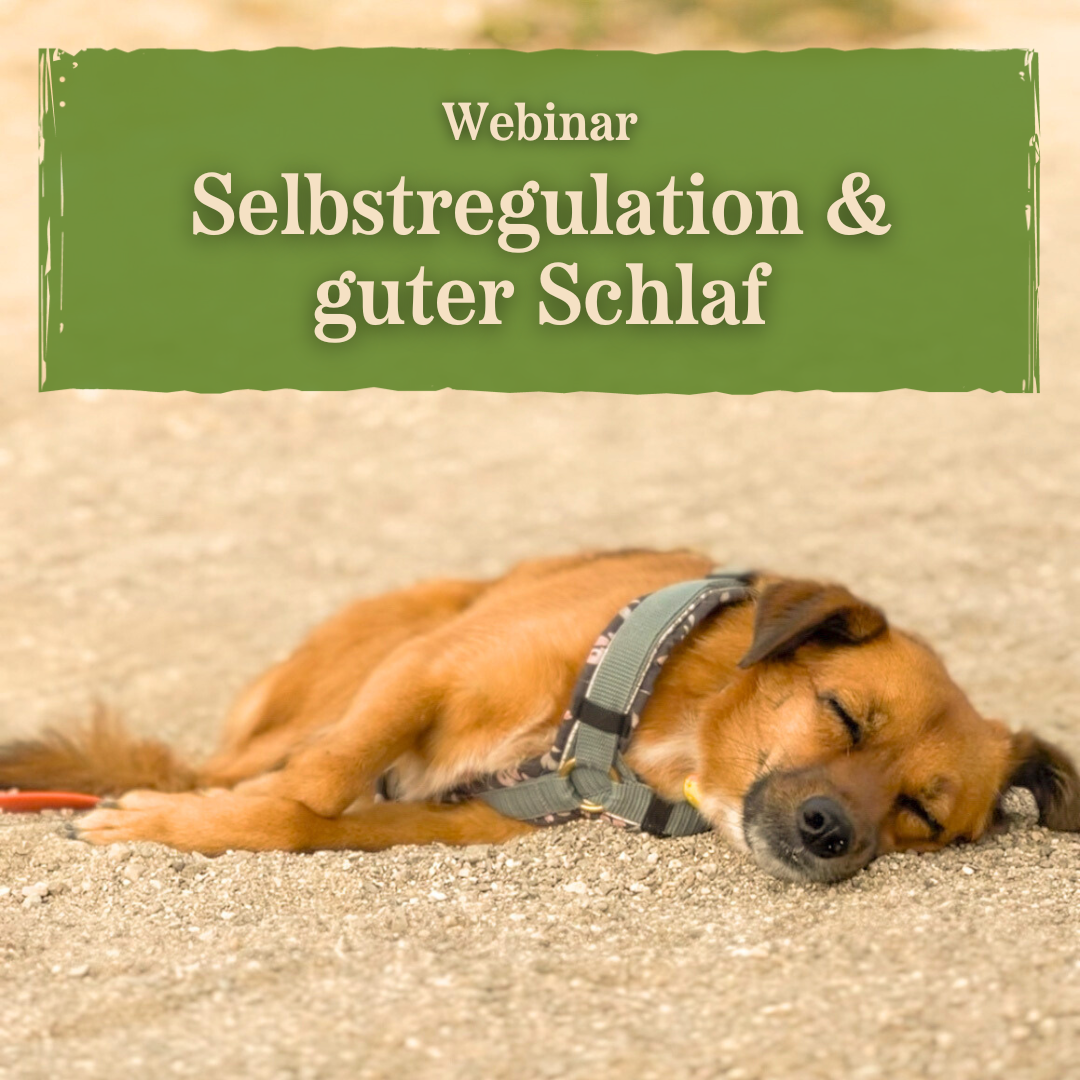 Produktbilder Elopage (5)-1080x1080.png