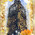 digital-icon