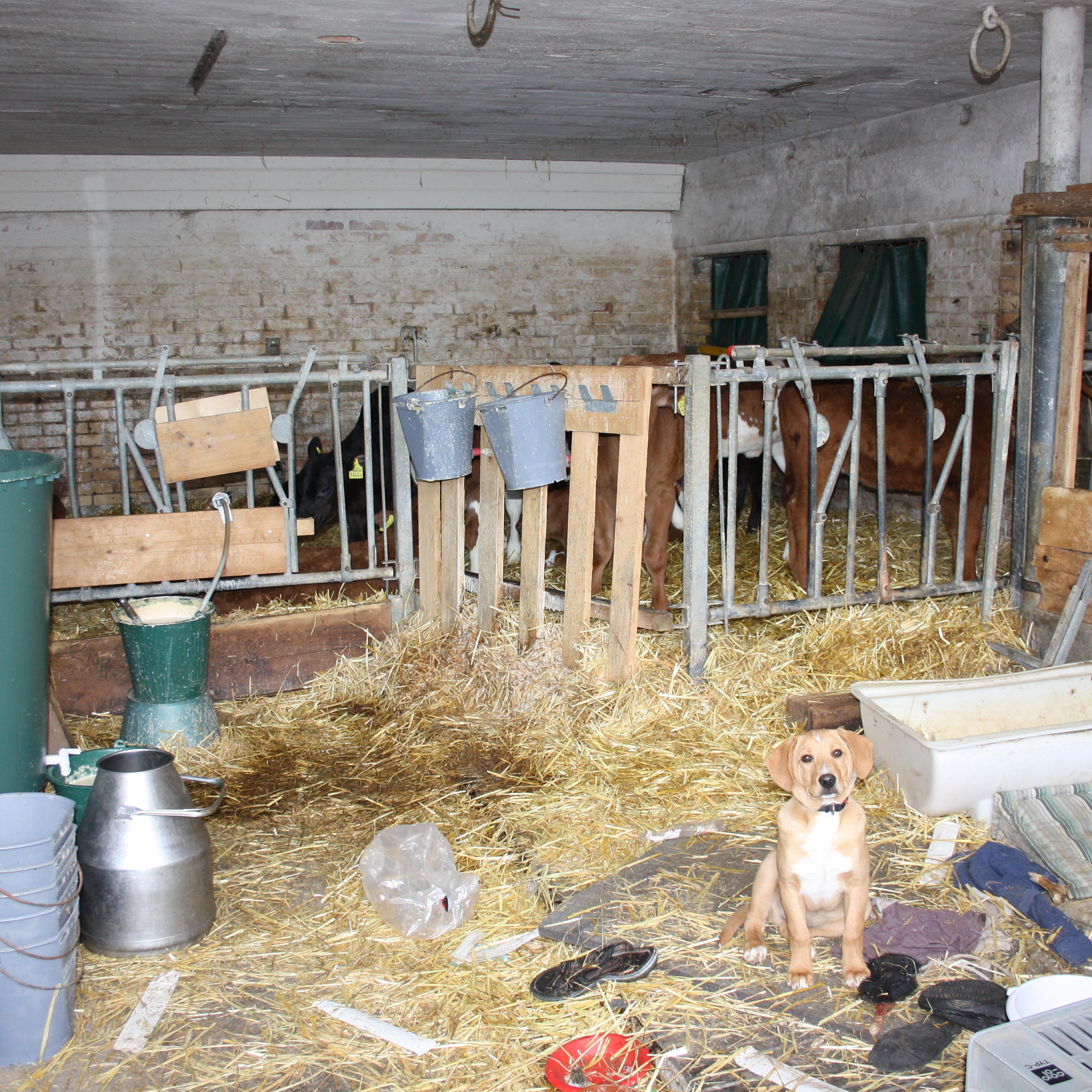 So sollte nichtmal ein Provisorium ausschauen