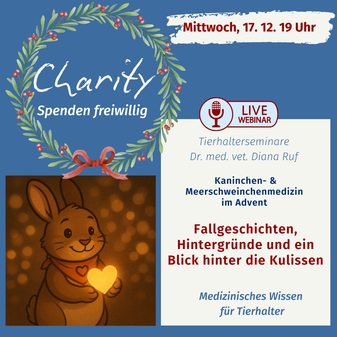 charity 2025-1080x1080.png