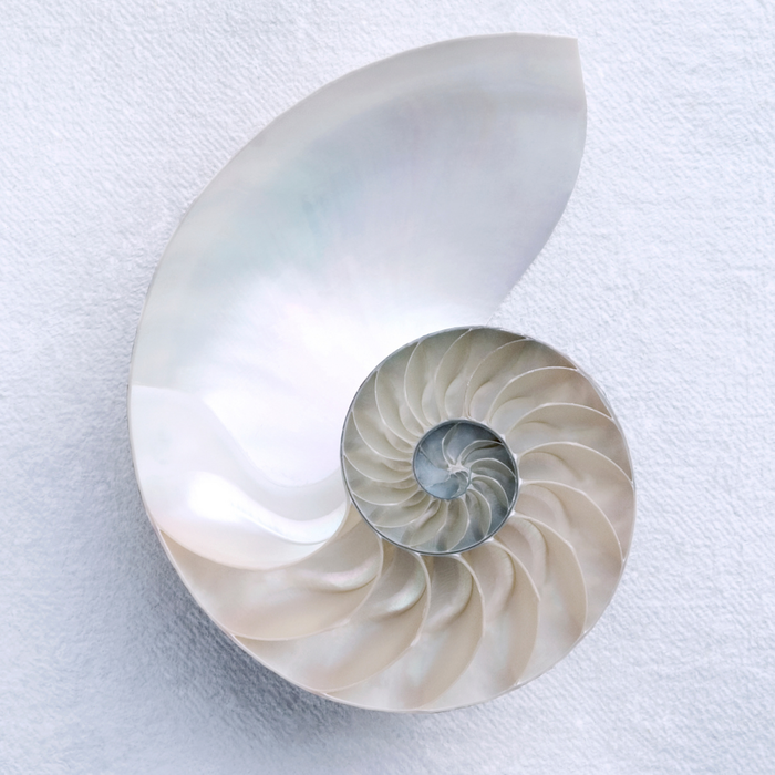 Spirale