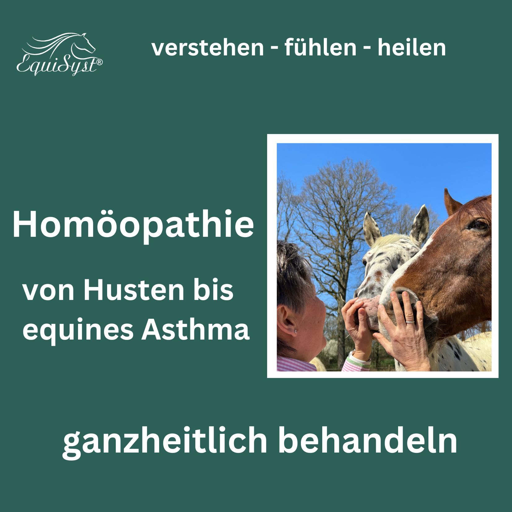 Pferde Club und Kurse(2)-1654x1654.jpg