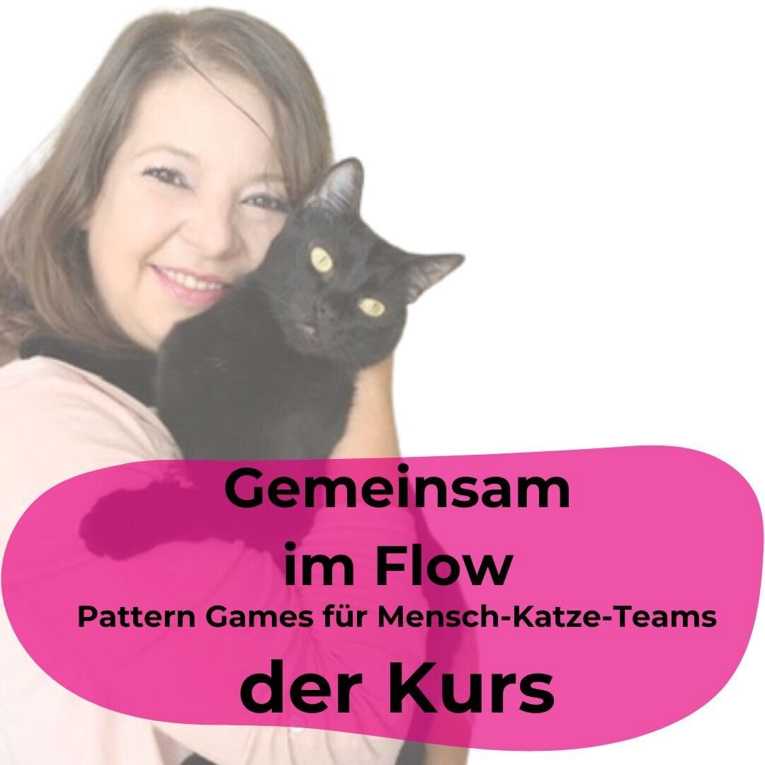 Pattern Games das Webinar für Katzenhüter - 1-1080x1080.jpeg