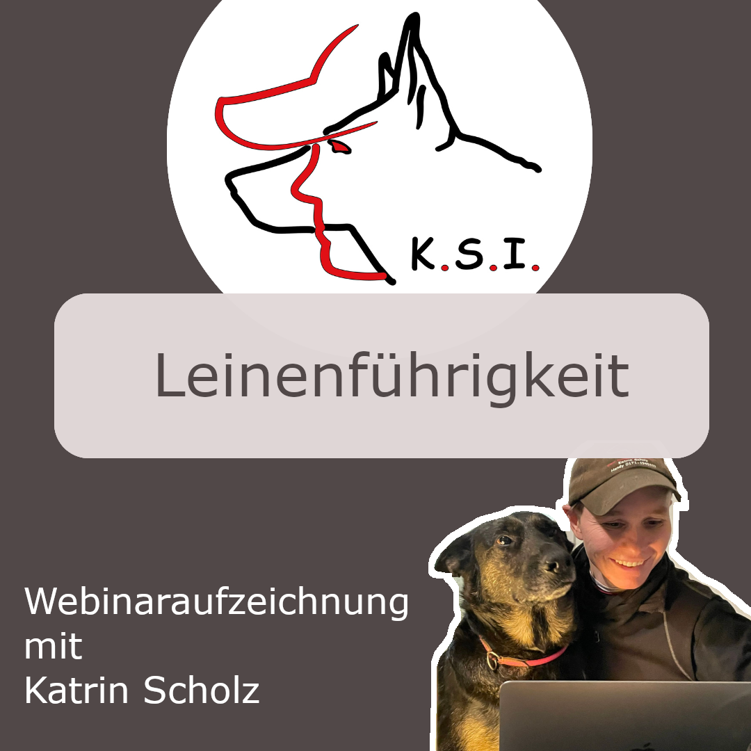 Titelbild mit KSI-Logo und Webinartitel
