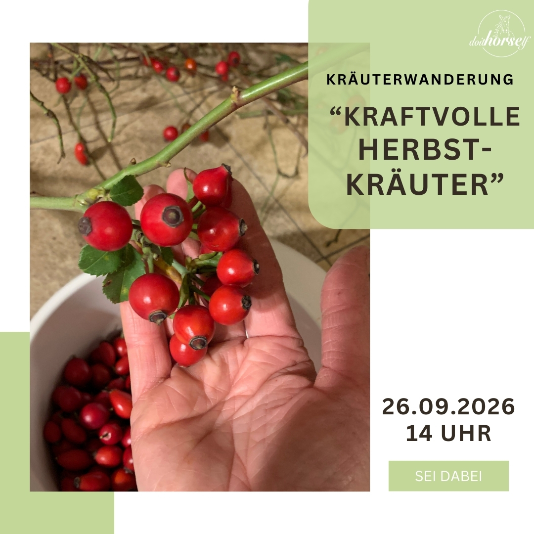 Vorlage_elopage_kurs (6)-1080x1080.jpg