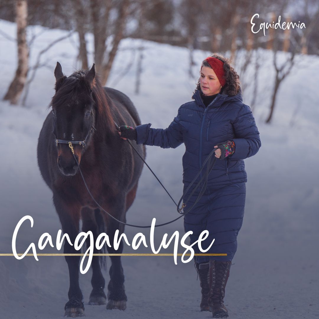 Thumbnail Welcome (1)-1080x1080.jpg