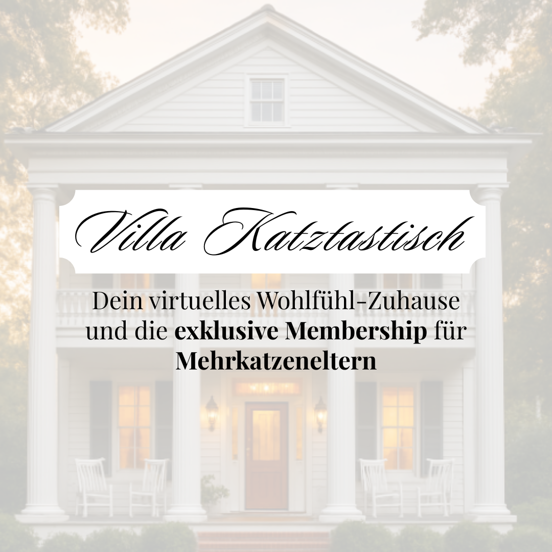 Villa Grafik Ablefy-1080x1080.png