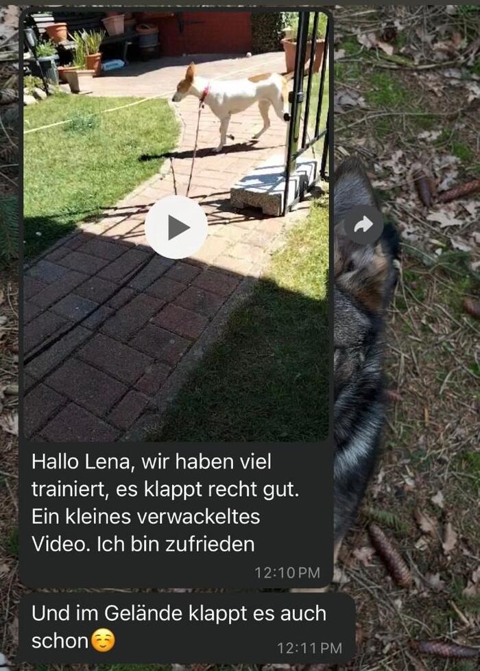 loaded_image