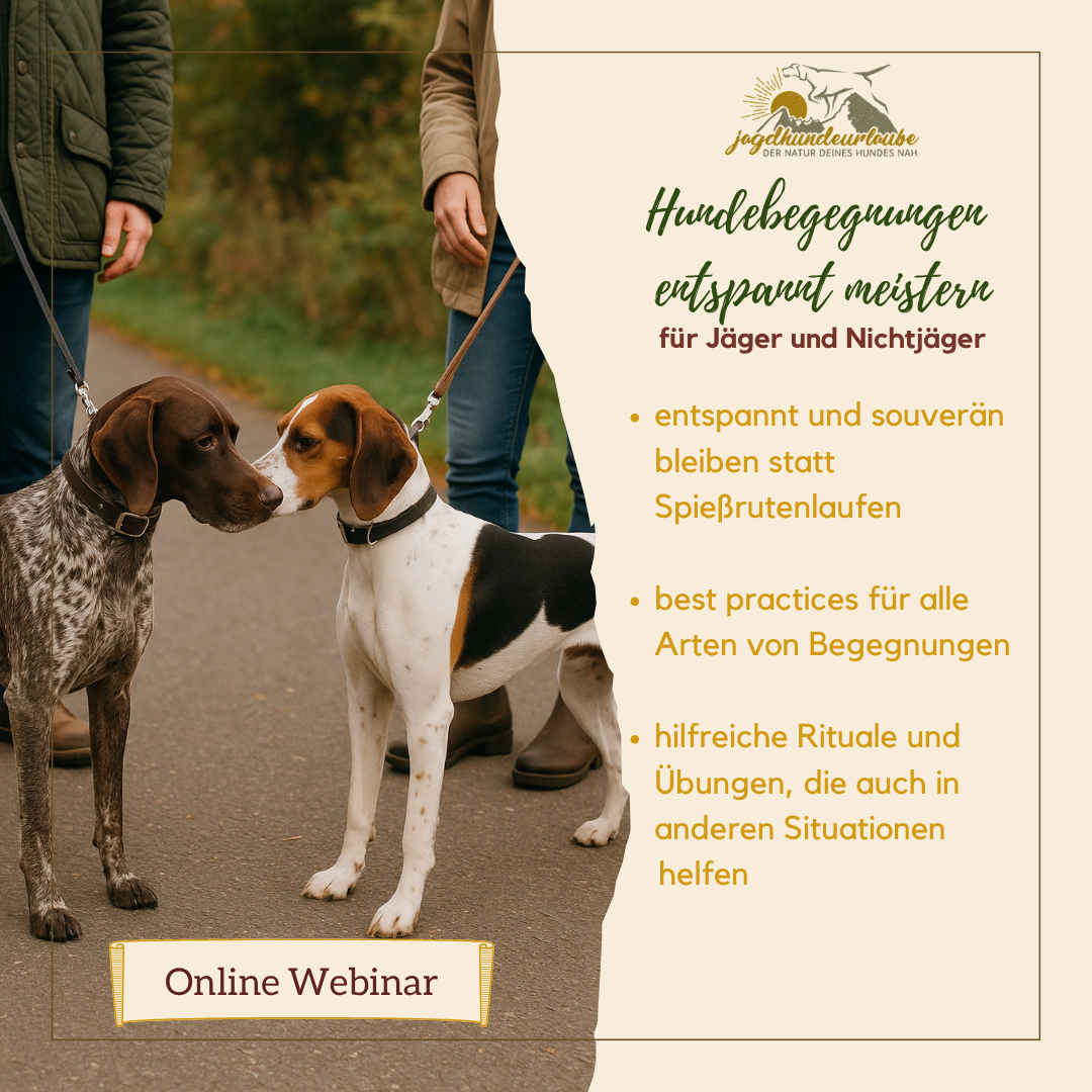 Hundebegegnungen-1080x1080.png