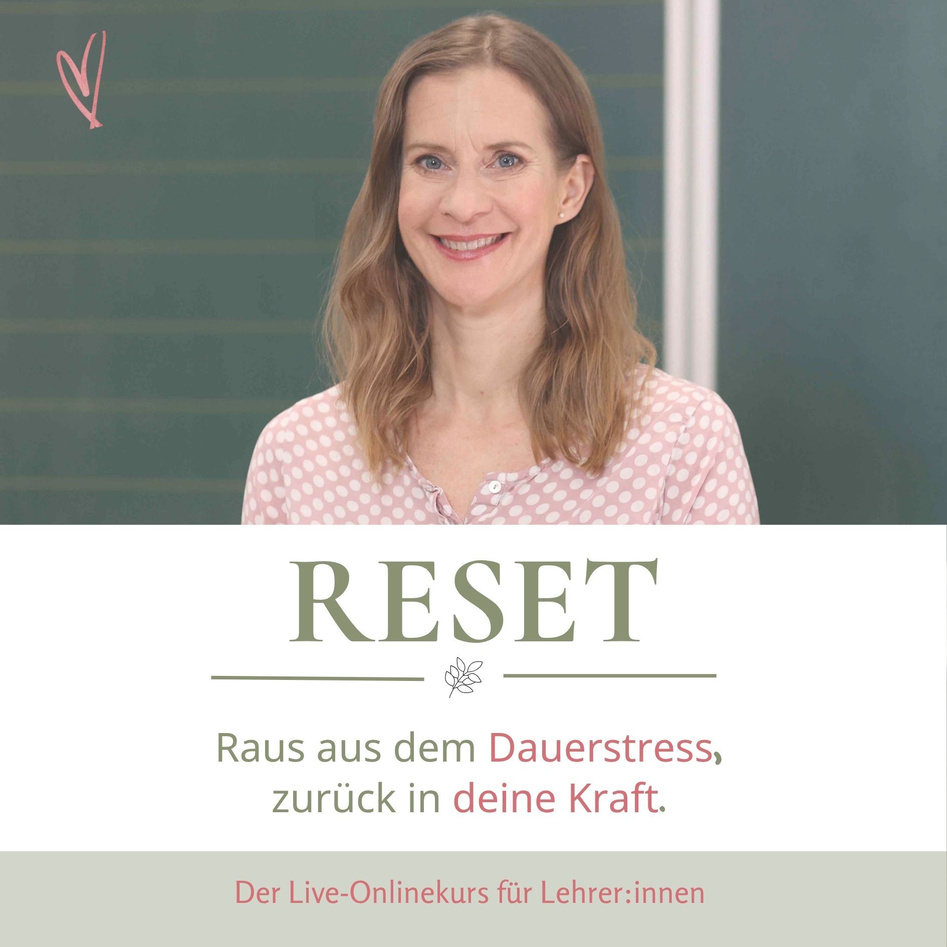 RESET Produktbild-1890x1890.jpg