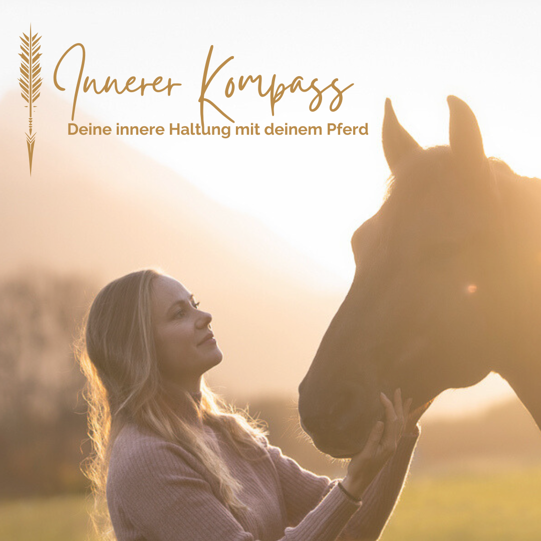 Kopie von Kopie von Kopie von Grenzen-1080x1080.png