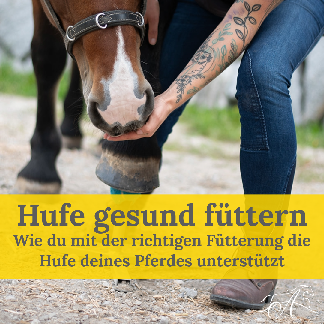 hufe gesund füttern-1080x1080.png