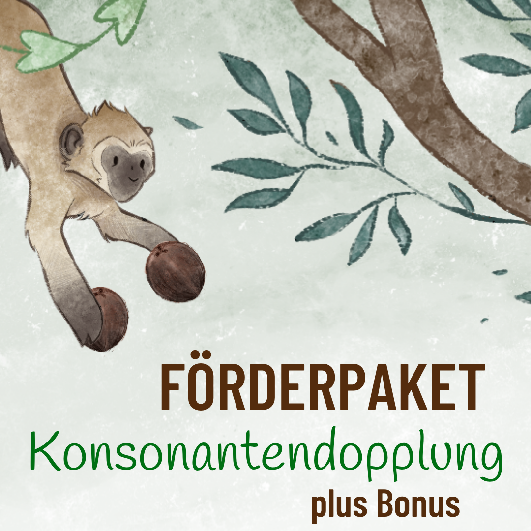 Produktcover-Paket-Konsonantendopplung-Bonus-1080x1080.png