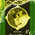 digital-icon