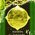 digital-icon