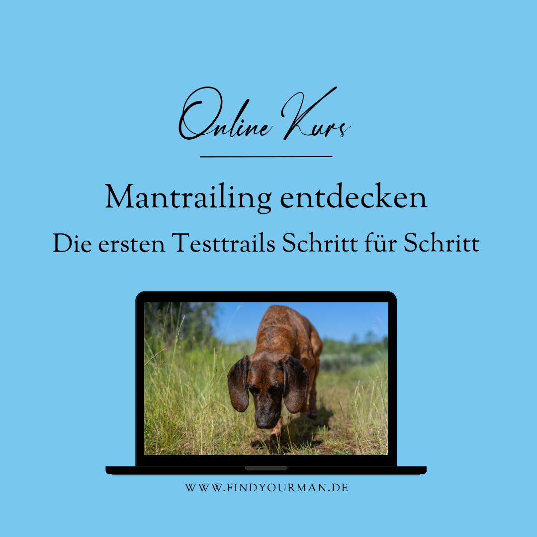 MT entdecken-1080x1080.png