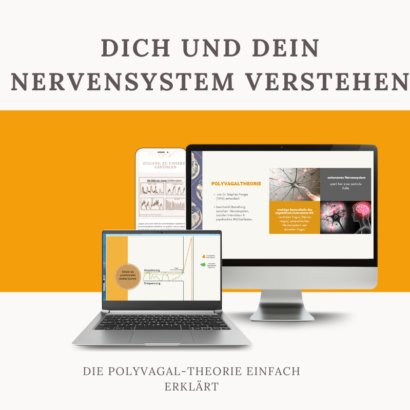 Kopie von PE DFY Mockups-2-799x799.png