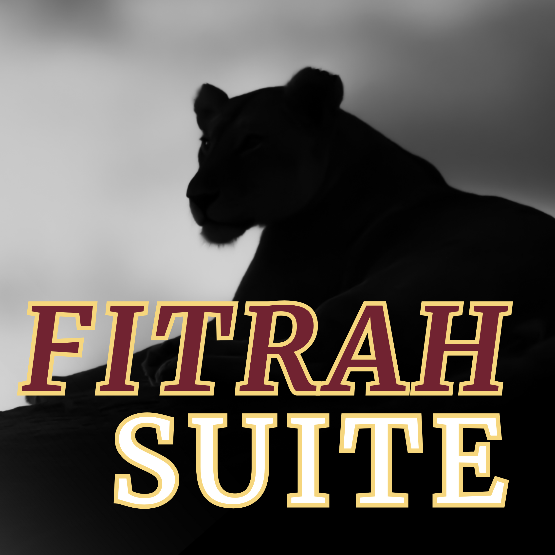 Produkt cover (2)-2250x2250.png