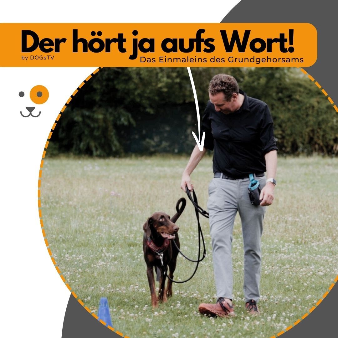 DHAW Quadrat-1080x1080.jpg