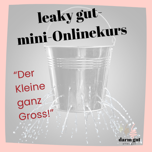 Ein Eimer mit Löchern, aus dem Wasser rinnt - wie bei einem undichten Darm