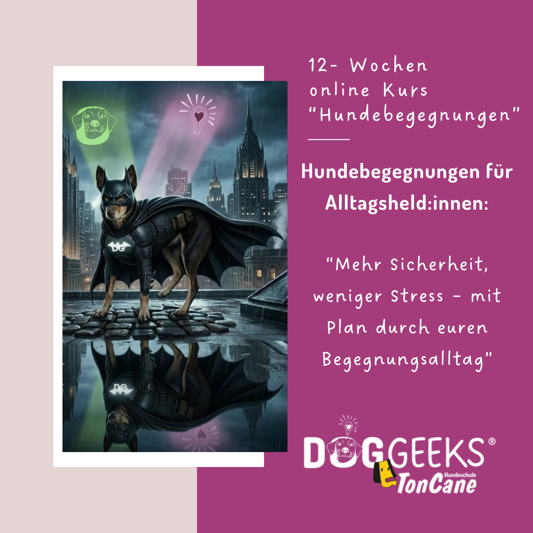 online Kurs Hundebegegnungen 