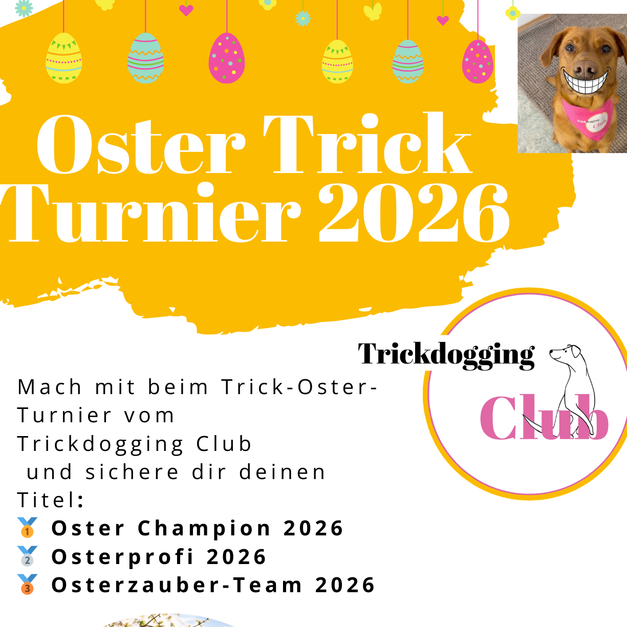 Info Booklet-1225x1225.png