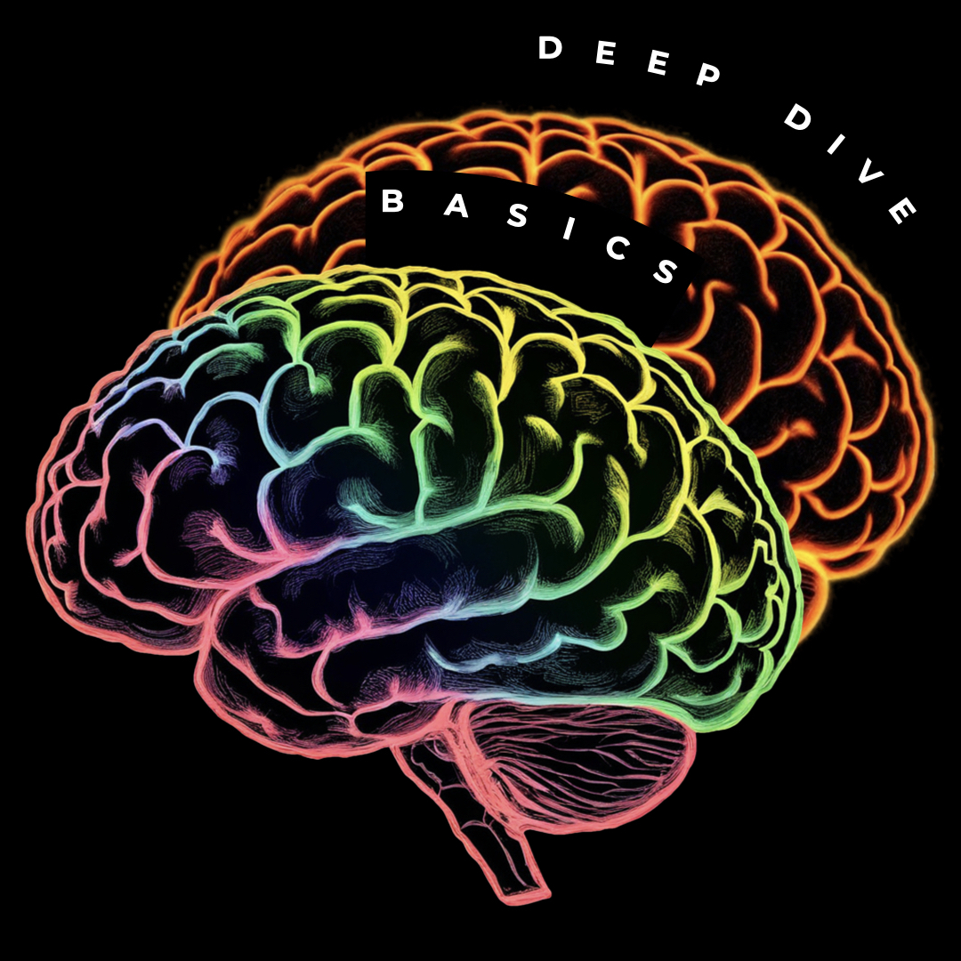 Curriculum | Das Nervensystem • Coverbilder 3 | 3-1080x1080.jpeg